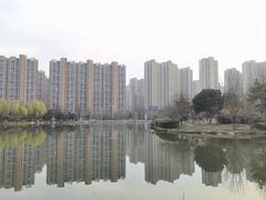 -木塔寺遗址生态公园