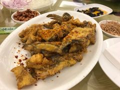 -联邦酒楼