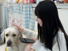 -汪说·狗咖·拼豆·宠物周边DIY(旺城大厦店)