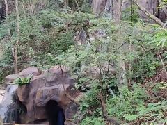 -广州市流溪河国家森林公园