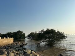 -宝安西湾红树林湿地公园