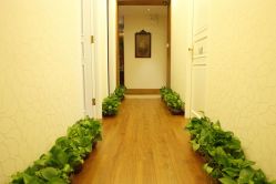 通道-TIME SPA科技美肤机构