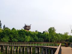 -东郊湿地公园