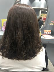 中发-和良形象