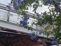 -缘生态云南菜·野生菌庭院餐厅(华侨城店)
