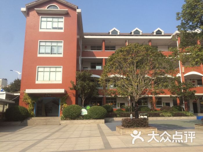 青园小学图片 - 第8张