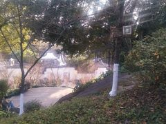 -乌山风景区
