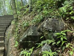 -石台牯牛降景区