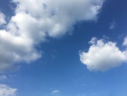 -英刺青 纹身 洗纹身