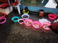 -霞涌市场海鲜摆卖区