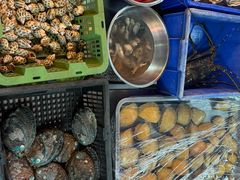 -金砂阿洲鱼册店