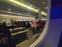-法兰度航空主题餐厅(河源店)