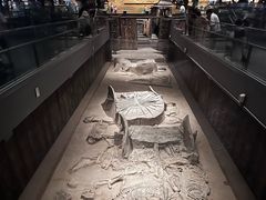 -北京大葆台遗址博物馆