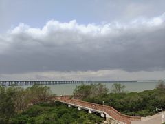 -宝安西湾红树林湿地公园