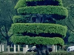 -厦门国家会计学院