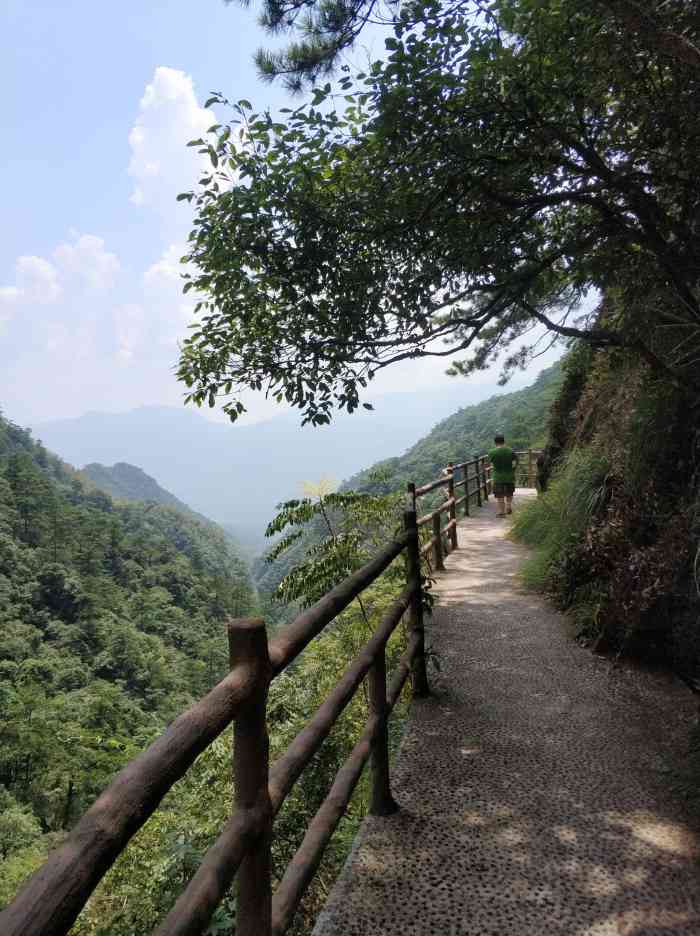 三爪仑观音岩-"住在这附近,民宿的老板告诉我们晚上有萤火.