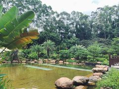 -南宁荔园维景国际酒店·荔园中餐厅