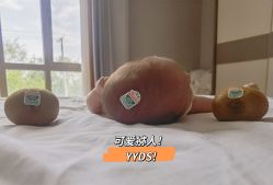 -馨悦诗安国际母婴会所