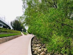 -宝安西湾红树林湿地公园