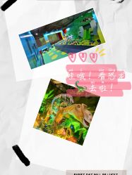 -恐龙探索乐园(磁器口店)