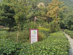 -北京鹫峰国家森林公园