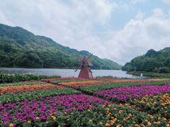 -广州市石门国家森林公园