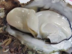 -蠔园山庄(礼乐食街店)