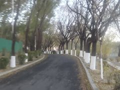 -丁香湖公园