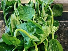 -杨老头鲜货烧烤(太古里店)