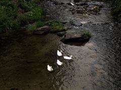 -北京水岸山吧度假村(雁栖镇店)