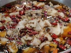 -蜀阳餐厅·金牌水煮鱼