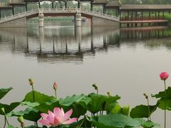 -西海子公园