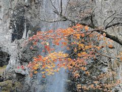 -关门山森林公园