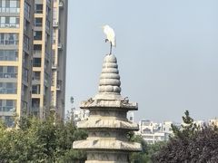 -木塔寺遗址生态公园