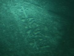-白鹤梁水下博物馆