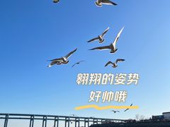 -黑石礁公园
