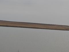 -哈素海