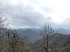 -黑河国家森林公园