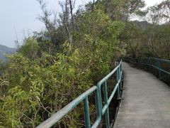 iphone_upload_pic-南丫岛