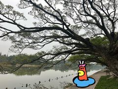 -江心屿景区
