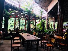 -绿光森林餐厅