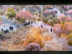 -罗红摄影艺术馆