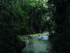 -虎跑公园