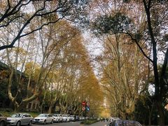 -浙江大学(玉泉校区)