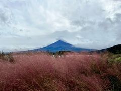 -富士山吉田線五合目