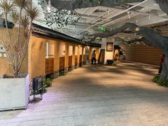 -大视光学•LINDBERG林德伯格•全球手工眼镜集合店(王府井店)