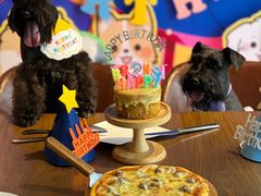 -百好乐宠物友好餐厅(朝外大街店)