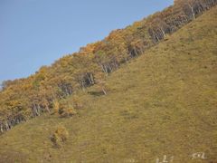 -北京灵山风景区