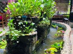 -园林美食城·本土农家菜(杨和镇店)