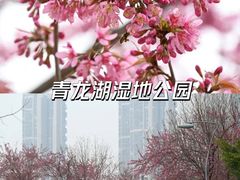 -桂溪生态公园